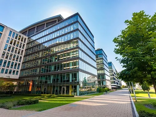 A view of some buildings and trees in the sun.